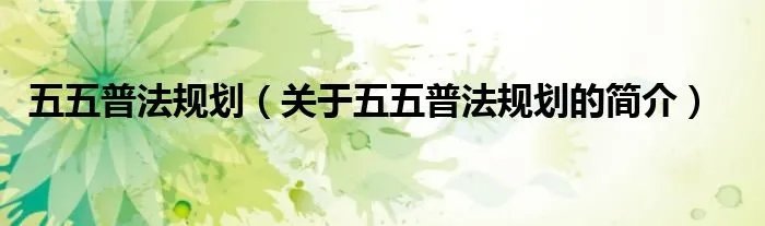 五五普法规划（关于五五普法规划的简介）