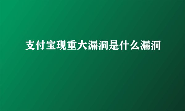 支付宝现重大漏洞是什么漏洞
