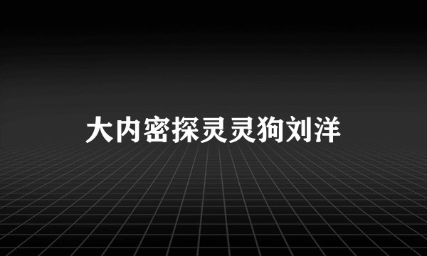 大内密探灵灵狗刘洋