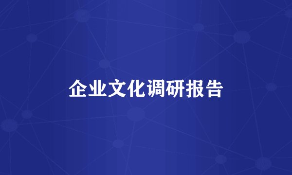 企业文化调研报告