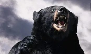 云南一老人四年两次被熊袭击是怎么回事?