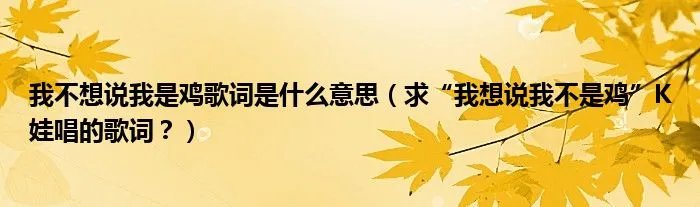 我不想说我是鸡歌词是什么意思(求“我想说我不是鸡”K娃唱的歌词?)