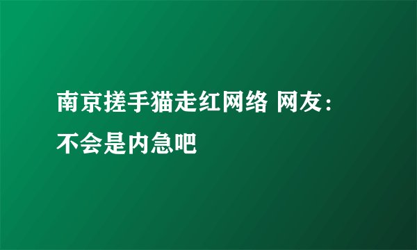 南京搓手猫走红网络 网友:不会是内急吧
