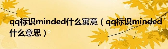 qq标识minded什么寓意(qq标识minded什么意思)