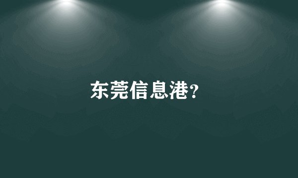 东莞信息港？