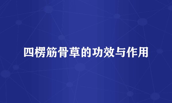 四楞筋骨草的功效与作用