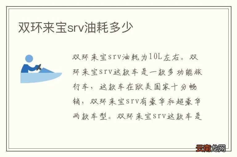 双环来宝srv油耗多少