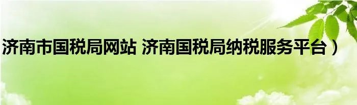 济南市国税局网站 济南国税局纳税服务平台）