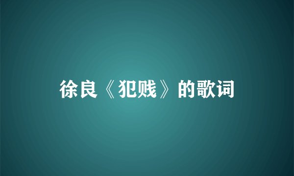 徐良《犯贱》的歌词
