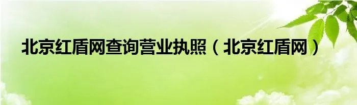 北京红盾网查询营业执照（北京红盾网）