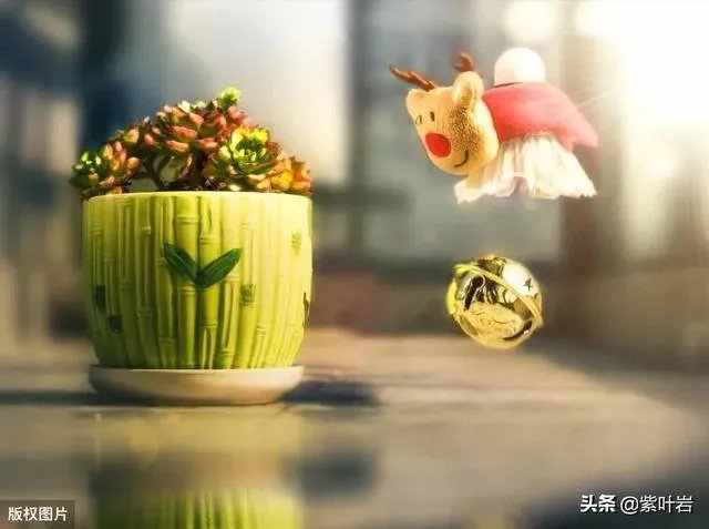 全国最大的棉裤批发