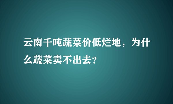 云南千吨蔬菜价低烂地，为什么蔬菜卖不出去？
