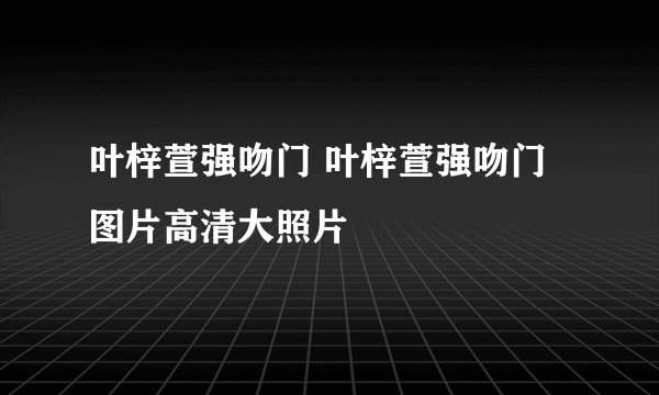 叶梓萱强吻门 叶梓萱强吻门图片高清大照片
