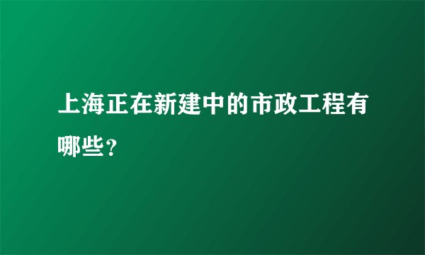 上海正在新建中的市政工程有哪些？