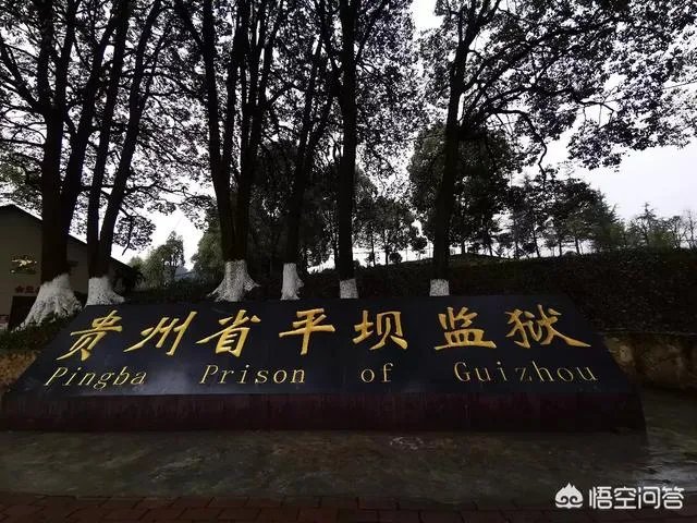 贵州平坝万亩樱花绽放,美爆了这个春天,有去过的吗?有旅游攻略路线吗?