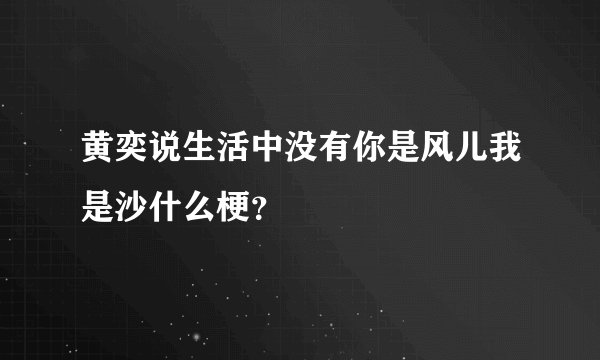 黄奕说生活中没有你是风儿我是沙什么梗？
