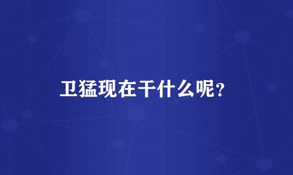 卫猛现在干什么呢？