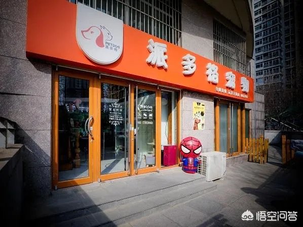 广州开宠物美容店有发展前景吗?