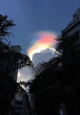 新加坡出现罕见“火彩虹”是怎么回事？