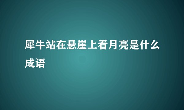 犀牛站在悬崖上看月亮是什么成语