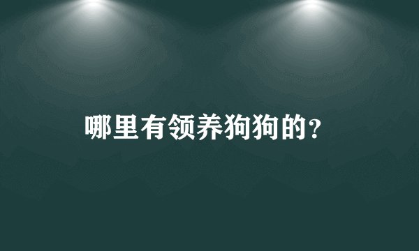 哪里有领养狗狗的？