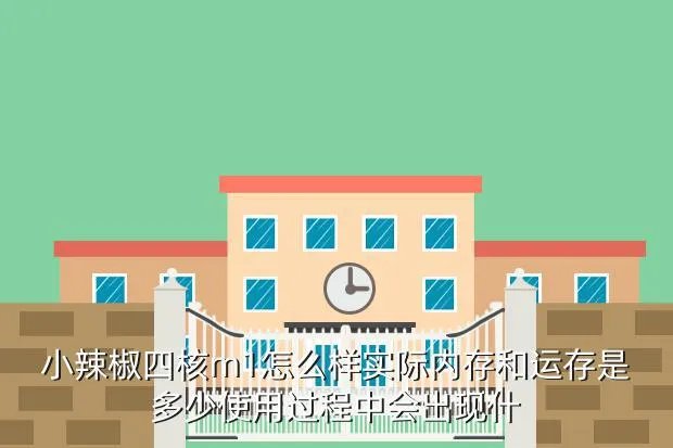 小辣椒m1评测,小辣椒M1怎么样