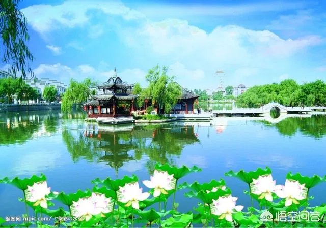 清明节你们公司放几天假吗？