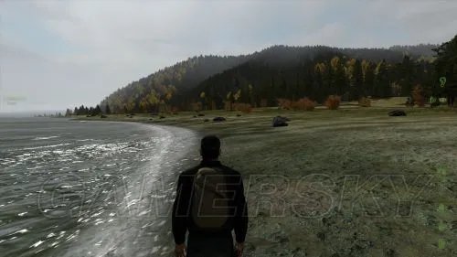 《武装突袭2：DayZ》新手图文指南