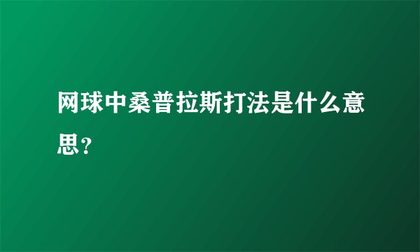 网球中桑普拉斯打法是什么意思?