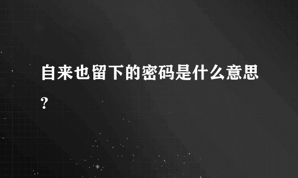 自来也留下的密码是什么意思？