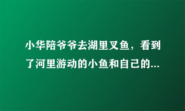 小华陪爷爷去湖里叉鱼,看到了河里游动的小鱼和自己的倒影,小华看到的“鱼”比实际位置______了,这是光的______现象造成的。若小华将电筒光对着看到的“鱼”射入,______(能/不能)照亮鱼。