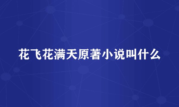 花飞花满天原著小说叫什么
