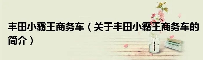 丰田小霸王商务车（关于丰田小霸王商务车的简介）