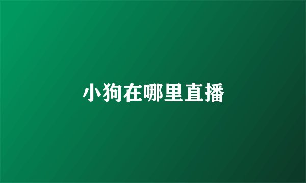 小狗在哪里直播