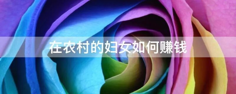 在农村的妇女如何赚钱