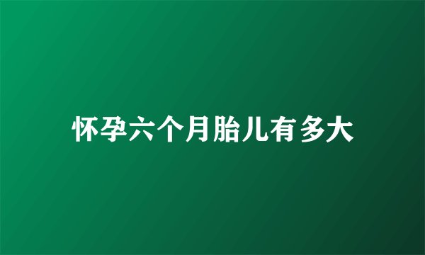 怀孕六个月胎儿有多大