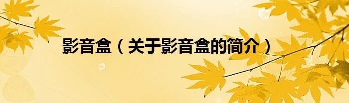 影音盒（关于影音盒的简介）