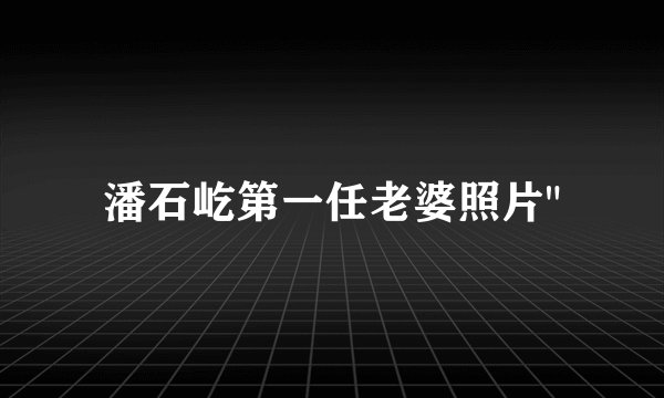潘石屹第一任老婆照片