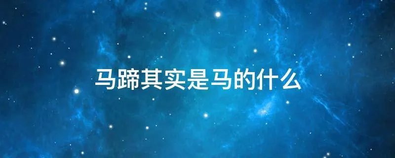 马蹄其实是马的什么