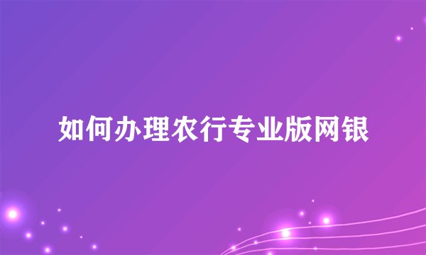 如何办理农行专业版网银