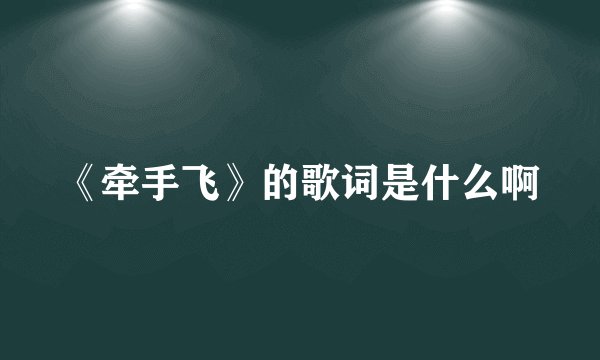 《牵手飞》的歌词是什么啊
