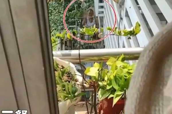 老夫妻被困家中邻居竹竿递送三餐,此事具体是什么情况?