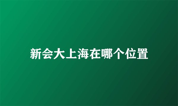 新会大上海在哪个位置