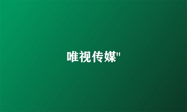 唯视传媒