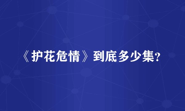 《护花危情》到底多少集?