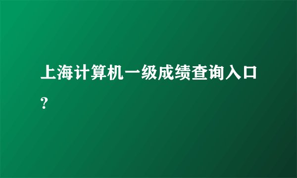 上海计算机一级成绩查询入口？