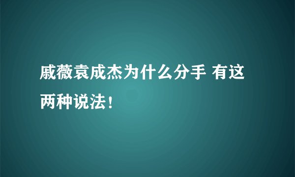 戚薇袁成杰为什么分手 有这两种说法!