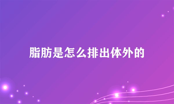脂肪是怎么排出体外的