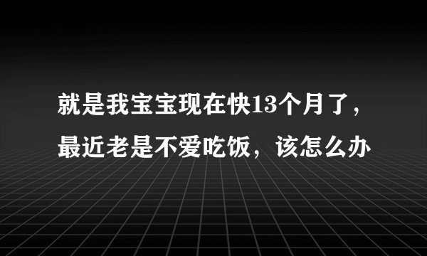 就是我宝宝现在快13个月了，最近老是不爱吃饭，该怎么办