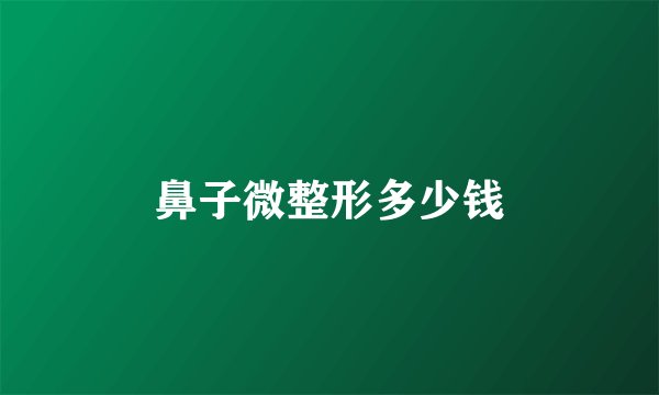 鼻子微整形多少钱